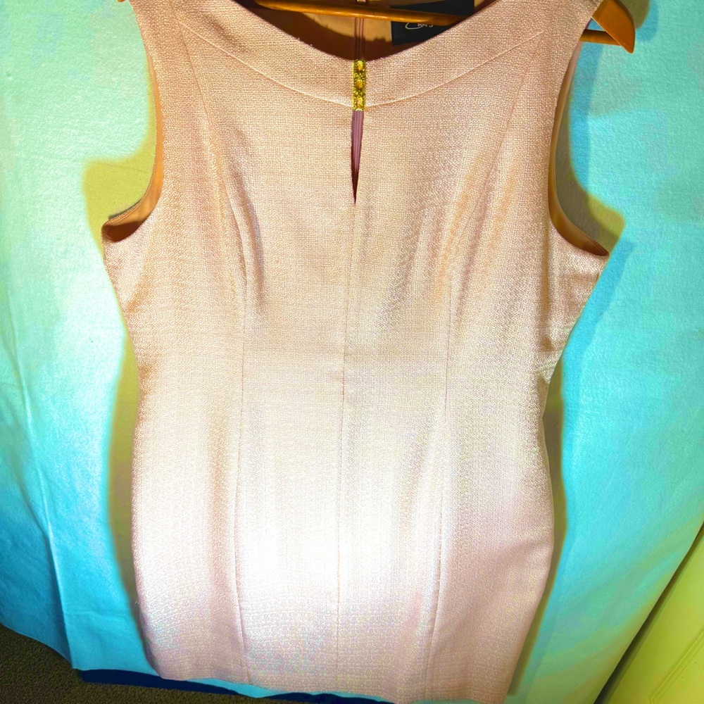 Elegant Chelsea Rose Textured Sheath Dress with Gold Neckline Detail - Size 18